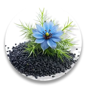 ingredient_2